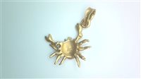 Pendente Sommer zodiaco in Oro giallo CANCRO F O/C - CANCRO F O/C